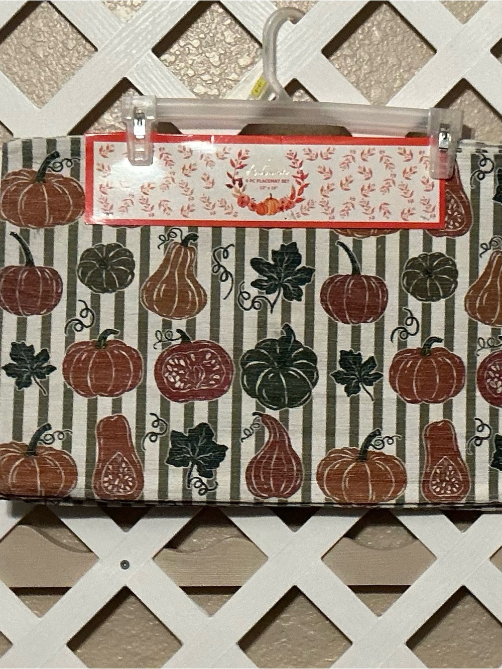 Autumn Orange & Green Pumpkin & Gourd Placemats